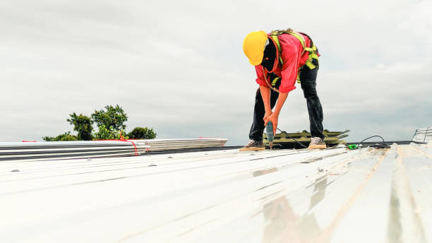 Best Roof Maintenance and Cleaning  in Green Meadows, OH